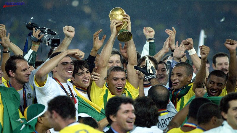 Giữa rừng tóc bình thường